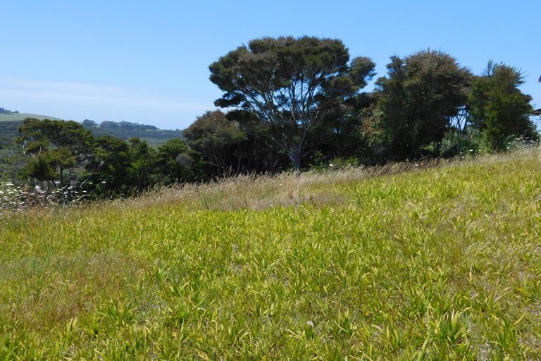 Photo of property in 14 Waterview Place, Haruru, 0204