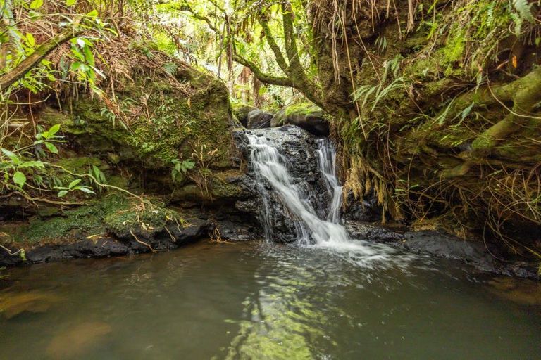 Photo of property in 88 Scott Road, Puketotara, Te Awamutu, 3876