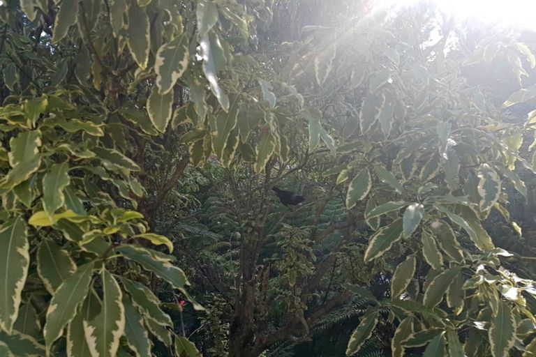 Photo of property in 2/43 Brigantine Drive, Beach Haven, Auckland, 0626