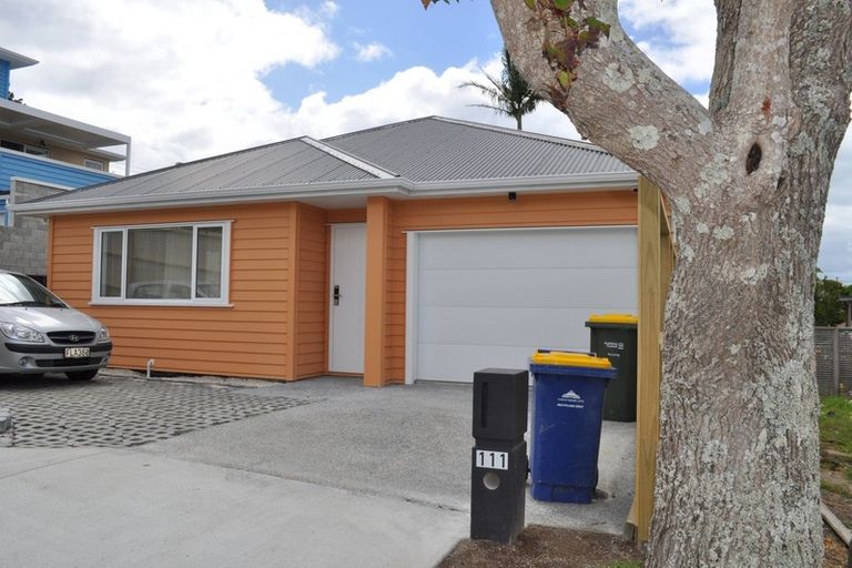 Photo of property in 111 Mountbatten Avenue, Hillcrest, Auckland, 0627