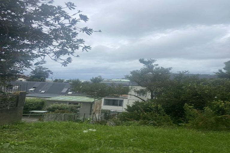 Photo of property in 2 Anderson Terrace, Mount Cook, Wellington, 6021