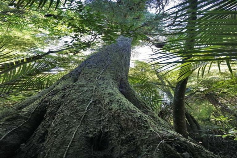Photo of property in 92 Waipa Heights Road, Ngaruawahia, 3793