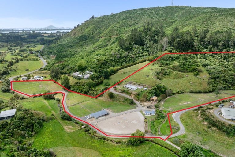 Photo of property in 221 Waitao Road, Waitao, Tauranga, 3175