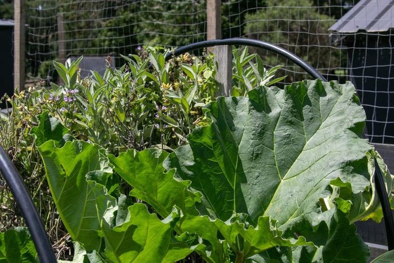 Photo of property in 26c Kauri Lane, Huntly, 3771