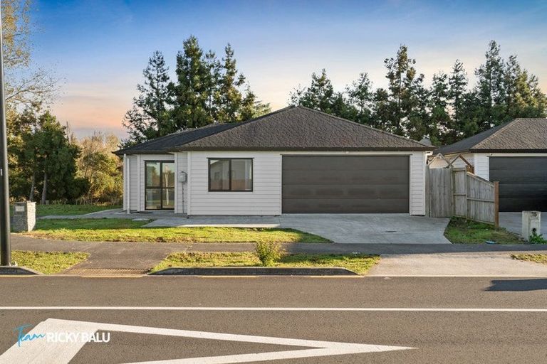 Photo of property in 17 Hard Beech Street, Takanini, 2110