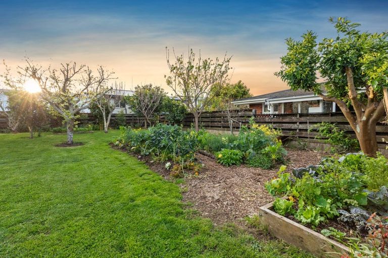 Photo of property in 29 Whitaker Street, Otumoetai, Tauranga, 3110