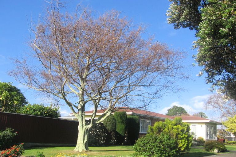 Photo of property in 4 Highbury Avenue, Highbury, Palmerston North, 4412