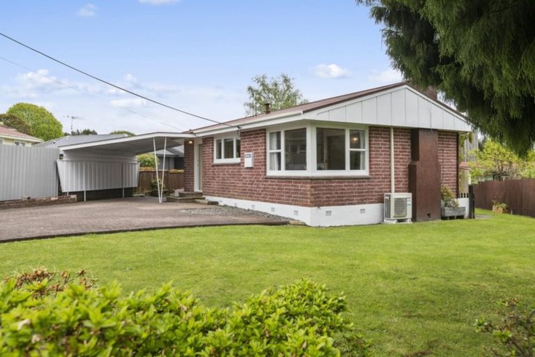 Photo of property in 117 Cameron Road, Te Puke, 3119