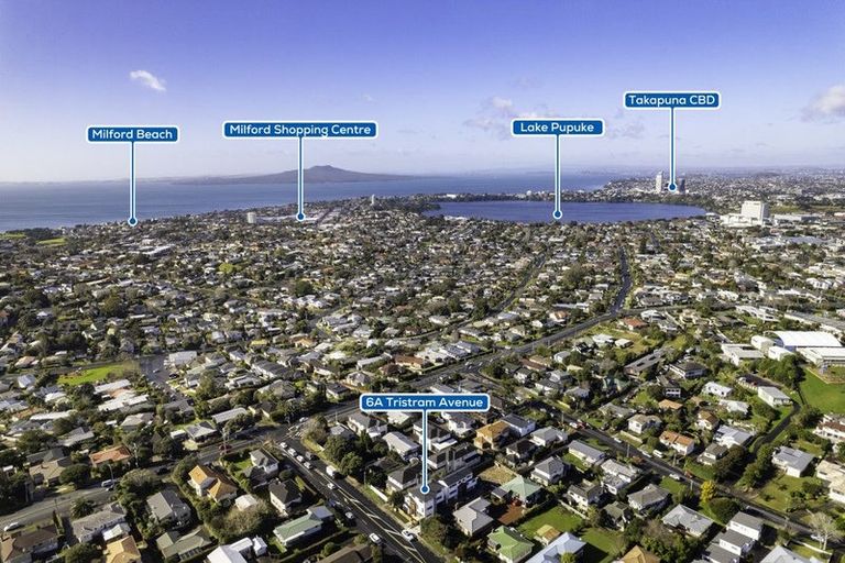 Photo of property in 6a Tristram Avenue, Forrest Hill, Auckland, 0620