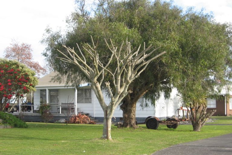 Photo of property in 14 Norfolk Place, Tairua, 3508