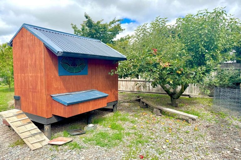 Photo of property in 29 Brook Street, Southbridge, 7602