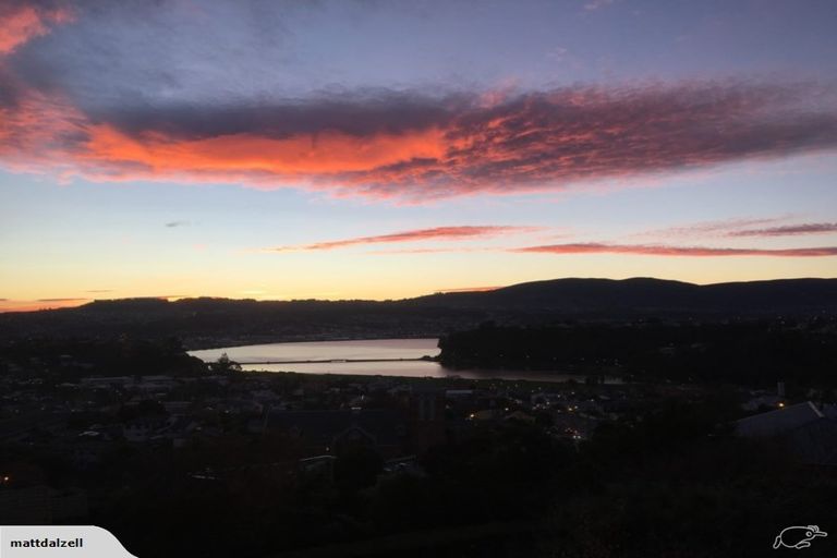 Photo of property in 17 Merchiston Street, Andersons Bay, Dunedin, 9013