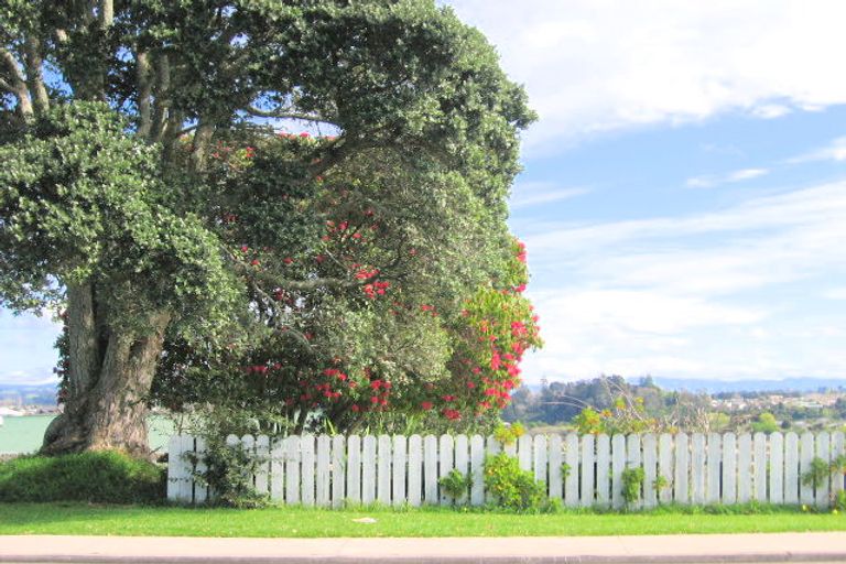 Photo of property in 103 Ohauiti Road, Hairini, Tauranga, 3112