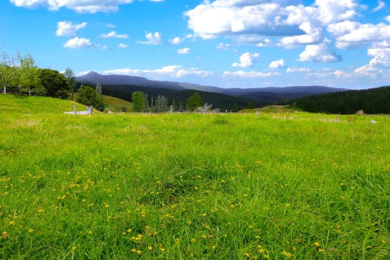 Photo of property in 2218 Tangowahine Valley Road, Tangowahine, Dargaville, 0372