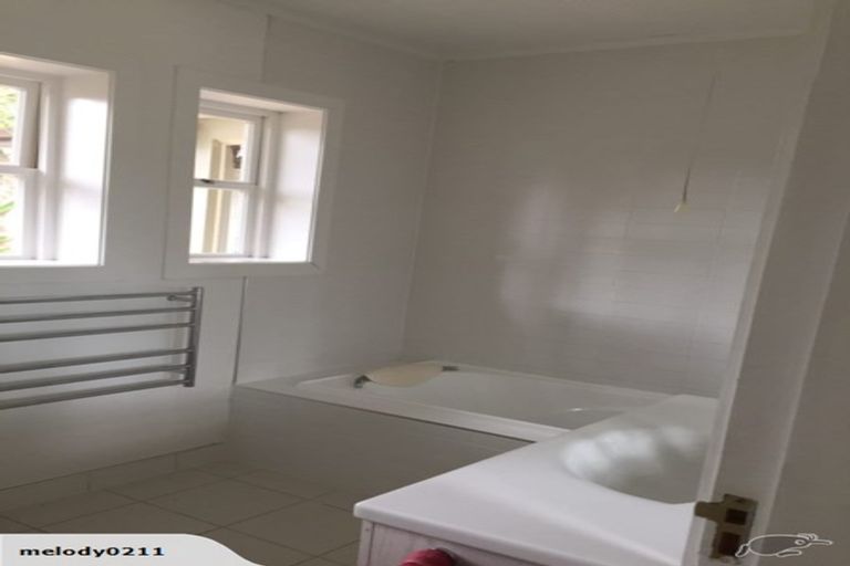 Photo of property in 17 Massey Avenue, Greenlane, Auckland, 1061