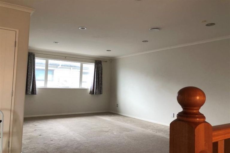 Photo of property in 13 Sunshine Lane, Flat Bush, Auckland, 2019