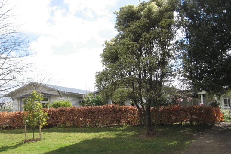 Photo of property in 7 Ninth Avenue, Tauranga, 3110