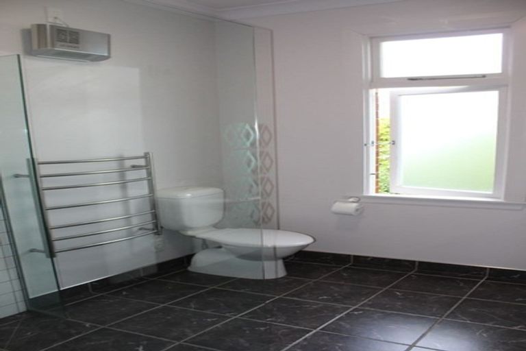 Photo of property in 113 Signal Hill Road, Opoho, Dunedin, 9010