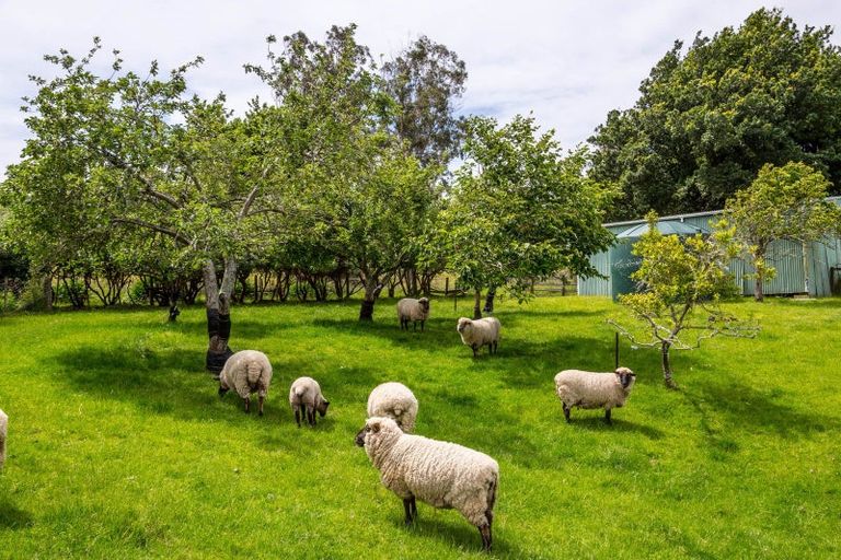 Photo of property in 26 Post Office Road, Mangapakeha, Masterton, 5872