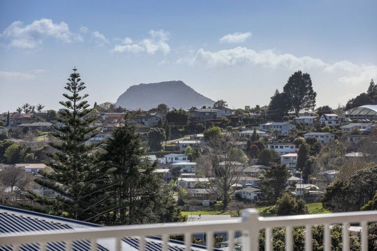 Photo of property in 26b Upland Street, Brookfield, Tauranga, 3110