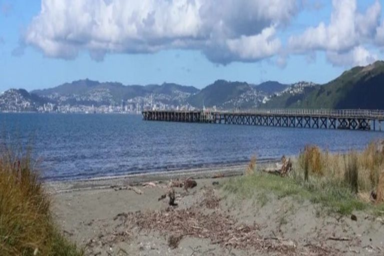 Photo of property in 1-4/193 The Esplanade, Petone, Lower Hutt, 5012