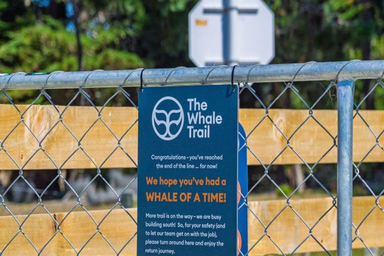 Photo of property in 36 Seddon Street, Ward, Seddon, 7285