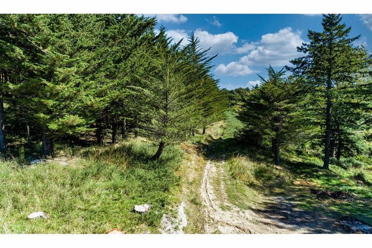 Photo of property in 163 Mill Road, Oxford, 7430