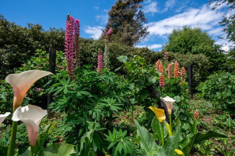 Photo of property in 162 Taupahi Road, Turangi, 3334