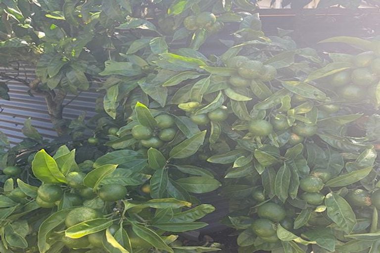 Photo of property in 37 Grey Street, Shannon, 4821