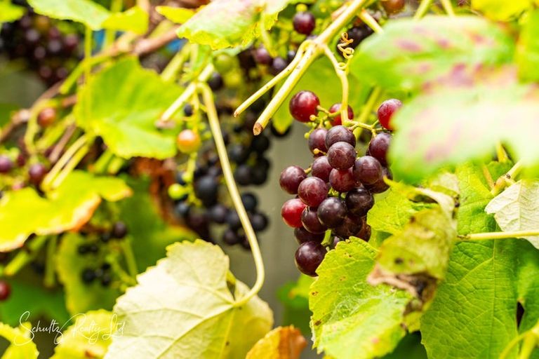 Photo of property in 7 Hebe Lane, Maungaturoto, 0520