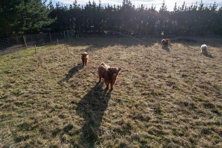 Photo of property in 3028 South Eyre Road, Oxford, Rangiora, 7476