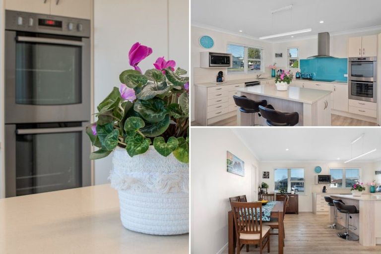 Photo of property in 17 Hayes Avenue, Gate Pa, Tauranga, 3112