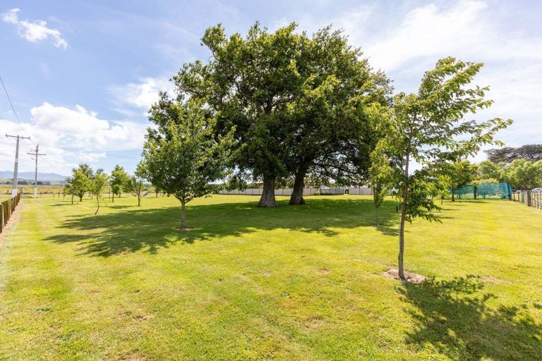 Photo of property in 69 Sowry Road, Woodville, 4920