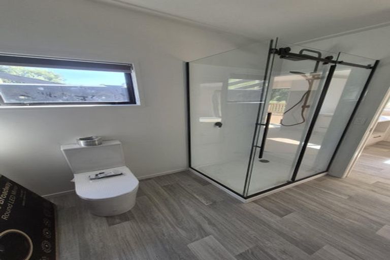 Photo of property in 173a Wily Road, Puni, Pukekohe, 2678