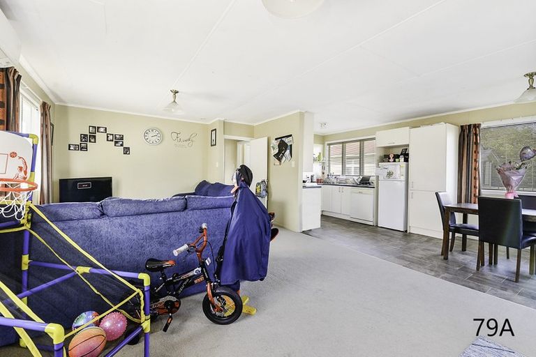 Photo of property in 79 Malfroy Road, Victoria, Rotorua, 3010