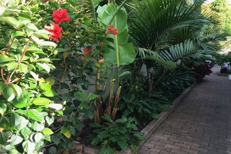 Photo of property in 3/309 Beach Road, Campbells Bay, Auckland, 0630