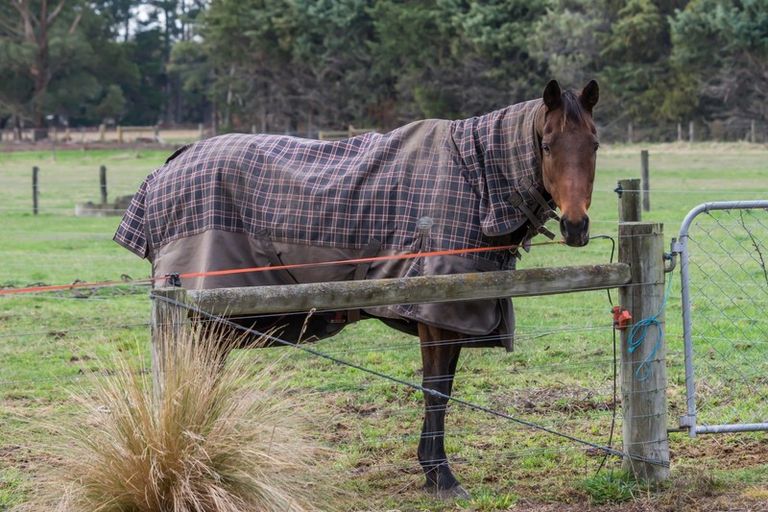 Photo of property in 231 Carters Road, Amberley, 7481