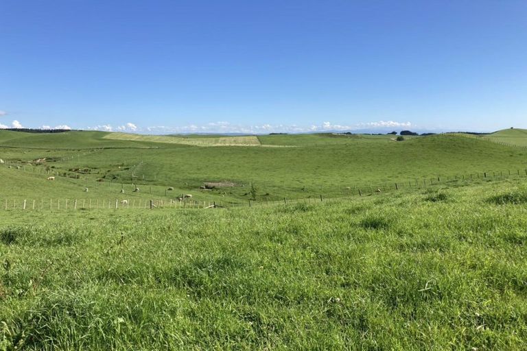 Photo of property in 398 Finnis Road, Pohangina, Ashhurst, 4775