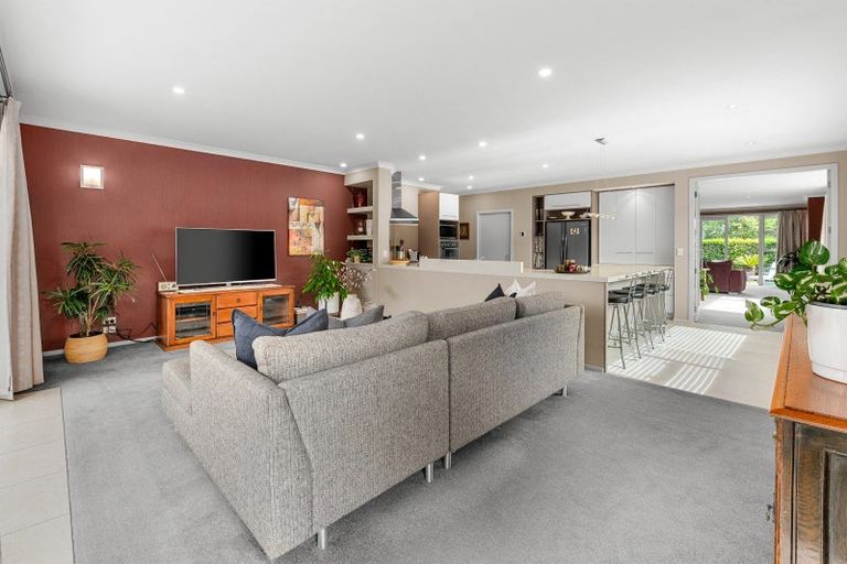 Photo of property in 17 Pollock Drive, Chartwell, Hamilton, 3210