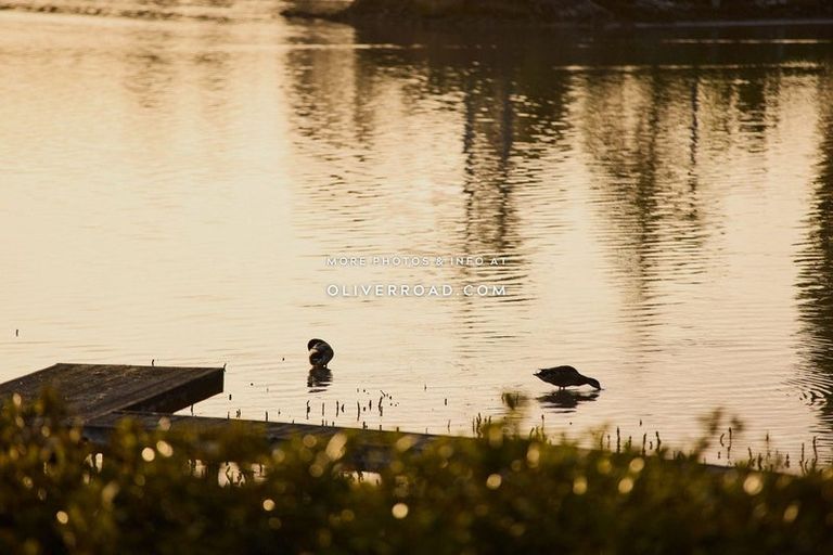 Photo of property in 22 Lindoch Avenue, Te Puna, Tauranga, 3174