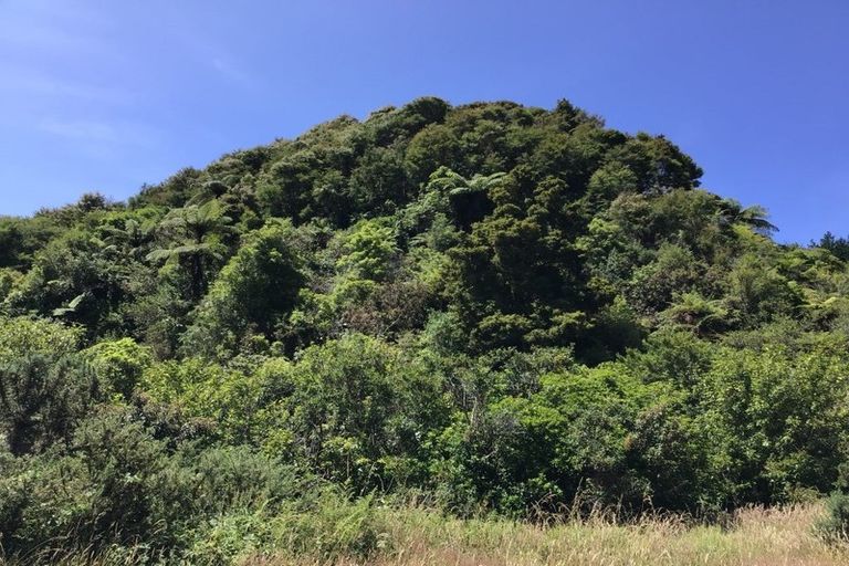 Photo of property in 445 Bird Road, Clifton, Takaka, 7183