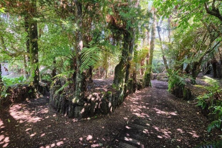 Photo of property in 9 Falstaff Street, Stratford, 4332