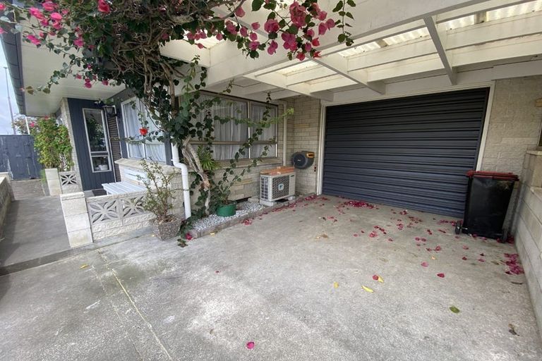 Photo of property in 300 Willowpark Road South, Hastings, 4122