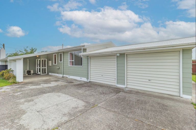 Photo of property in 117 Liverpool Street, Levin, 5510