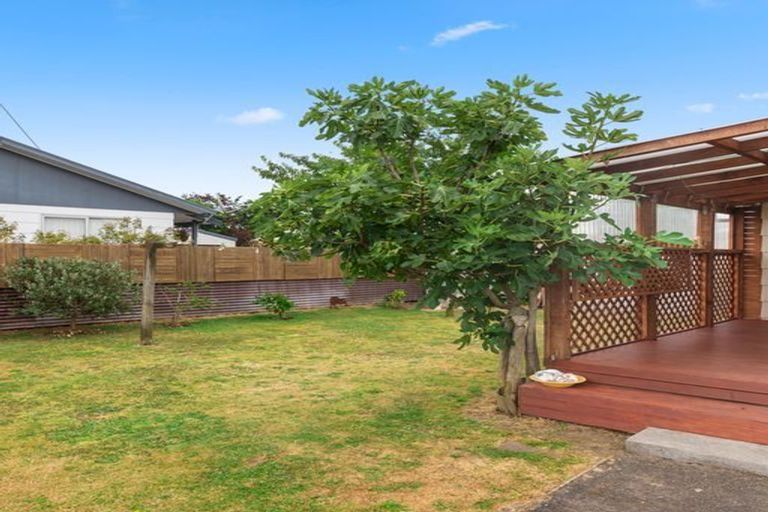 Photo of property in 10a Braemar Street, Levin, 5510