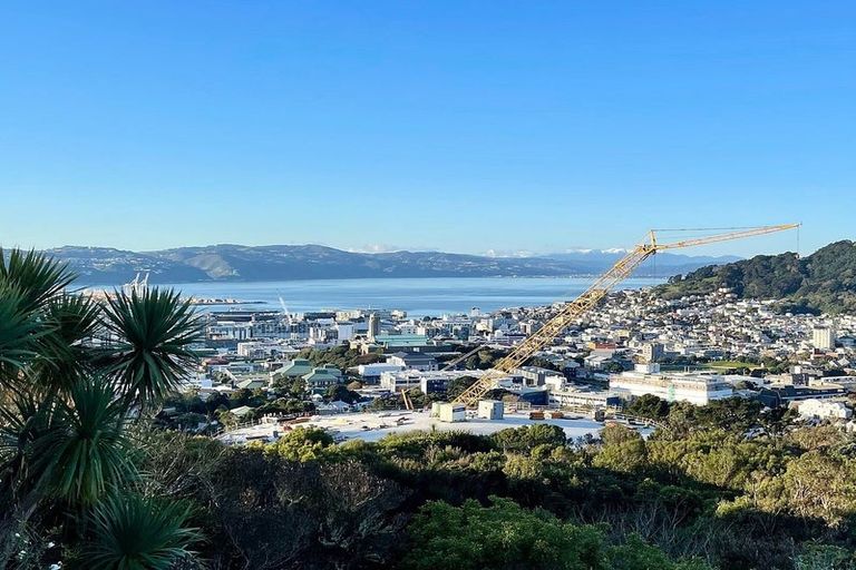 Photo of property in 3 Asquith Terrace, Brooklyn, Wellington, 6021