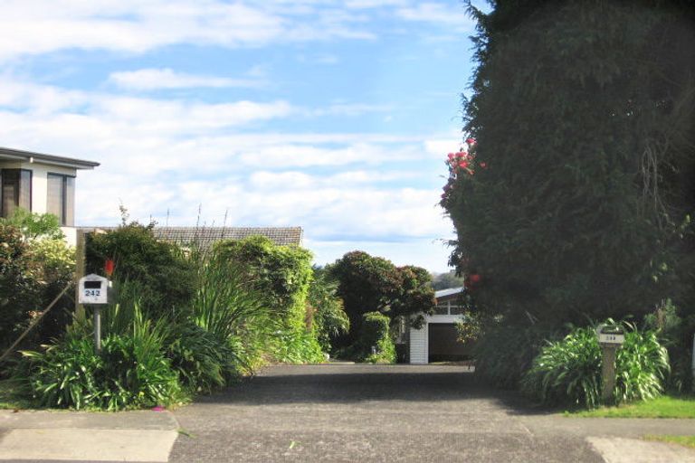 Photo of property in 244 Maungatapu Road, Maungatapu, Tauranga, 3112