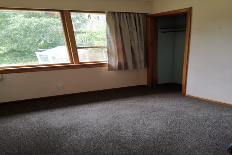 Photo of property in 191 Evans Street, Opoho, Dunedin, 9010