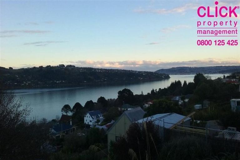 Photo of property in 46 Kauri Street, Ravensbourne, Dunedin, 9022