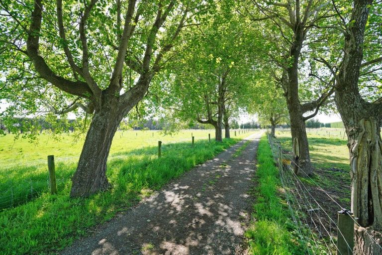 Photo of property in 243 Curran Road, Otatara, Invercargill, 9879